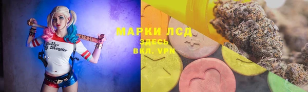 прущие крисы Сосновоборск