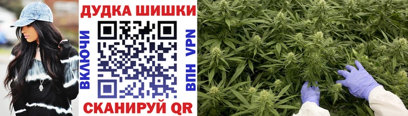 Конопля план  MEGA онион  нарко площадка как зайти  Советск 